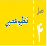 پاورپوینت علوم هشتم (فصل ۴) تنظیم عصبی-1