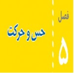 پاورپوینت علوم هشتم (فصل ۵) حس و حرکت-1