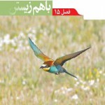پاورپوینت فصل ۱۵ علوم پایه نهم ( باهم زیستن )-1