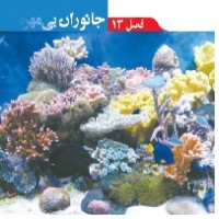 پاورپوینت علوم نهم (فصل ۱۳) جانوران بی مهره