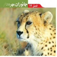 پاورپوینت علوم نهم (فصل ۱۴) جانوران مهره دار