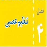 پاورپوینت علوم هشتم (فصل ۴) تنظیم عصبی