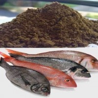 کارآفرینی تولید پودر و روغن ماهی