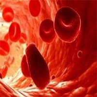 پاورپوینت بيماريهاي خونريزي دهنده